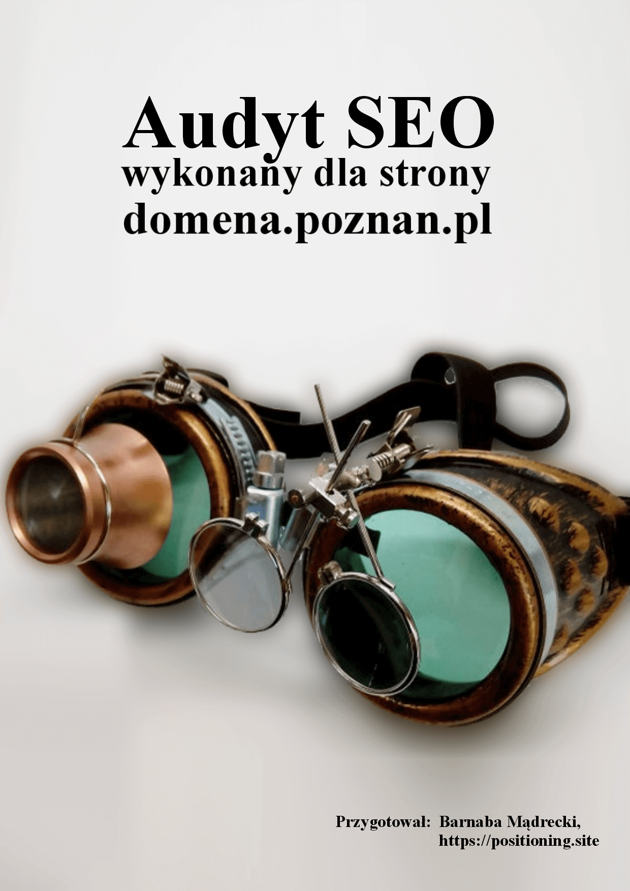 Audyt SEO strony WWW wykonany po poznańsku Audyt SEO strony WWW wykonany po poznańsku