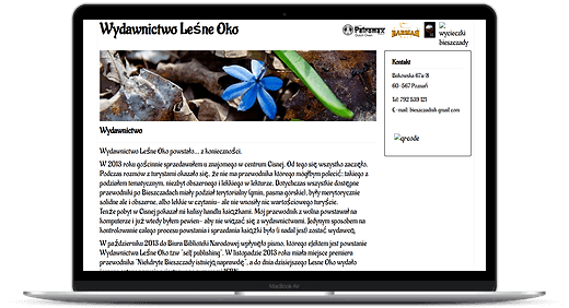 pozycjonowanie case study 001 strona pierwotna pozycjonowanie case study 001 strona pierwotna