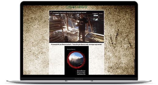pozycjonowanie case study 001 www po optymalizacji konwersji pozycjonowanie case study 001 www po optymalizacji konwersji
